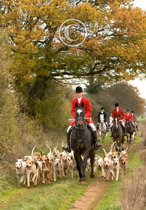 Huntsman and Hounds 2 DM019